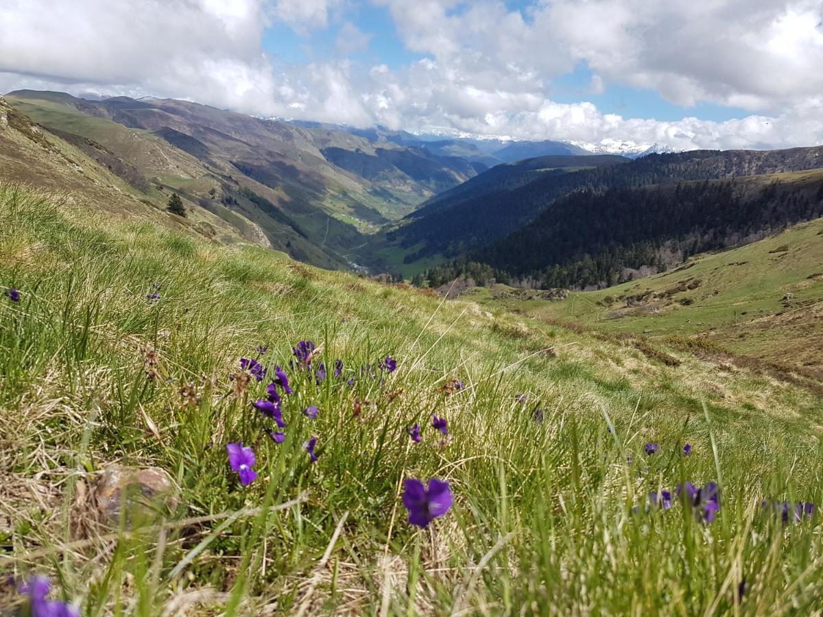 La Pepite Lejlighed Bagnères-de-Luchon Eksteriør billede